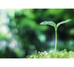 ハイパーナイフとエイジングケア: 若々しさを保つ秘訣