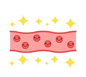 血管を強くする食べ物とは？