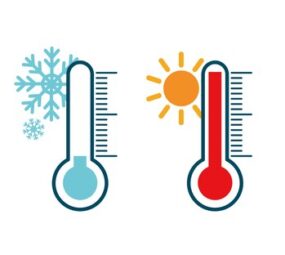 【夏】太りやすいのはどっち？【冬】