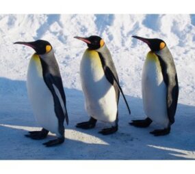 ハイパーナイフは冷え性におすすめできる？