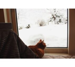 寒い冬におすすめの運動