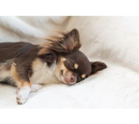 睡眠の質を高めるには