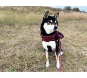 寒い時は身体のここを温めましょう