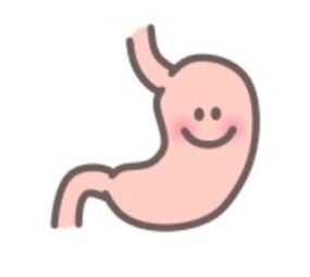 消化に良い食べ物ってなんだろう？